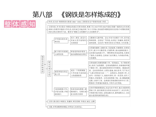 2020年广东中考语文复习课件：第5部分  第8部《钢铁是怎样炼成的》(共55张PPT)