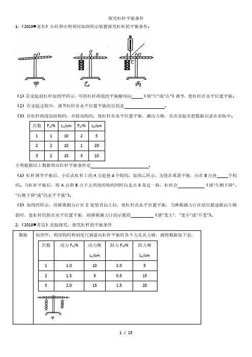 2020届中考物理考前实验夺分练：探究杠杆平衡条件