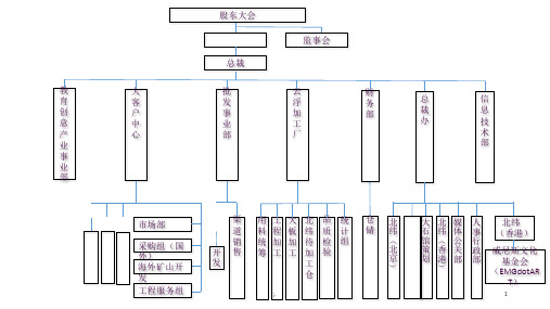 组织结构图(复杂版)ppt课件