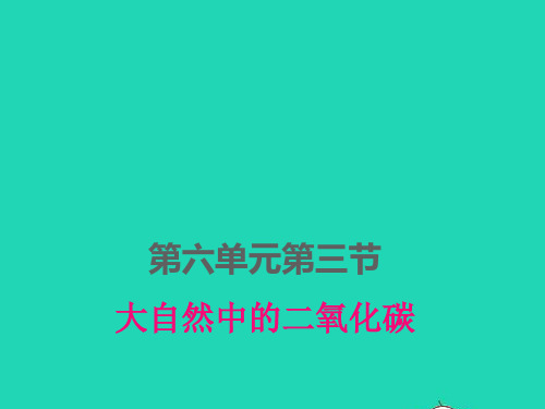 九年级化学上册第六单元燃烧与燃料：大自然中的二氧化碳pptx课件鲁教版