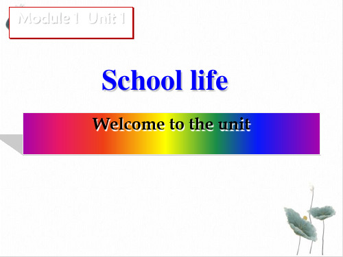 牛津译林版英语Module1Unit1Welcometotheunit)25张