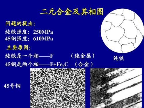 二元相图及铁碳合金-1