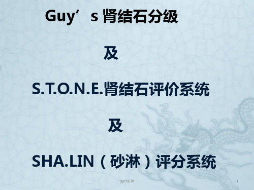 STONE评分系统  ppt课件