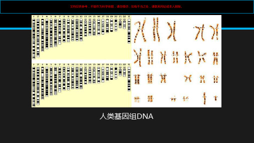 人类基因组DNA的提取课件