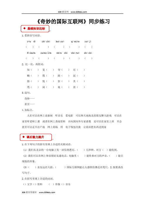 【309教育网优选】小学语文苏教版四年级上册《奇妙的国际互联网》同步练习