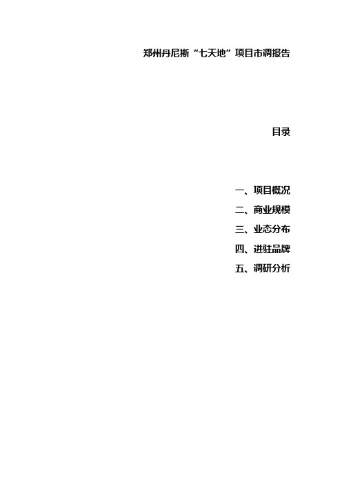 郑州市郑东新区丹尼斯七天地调研报告