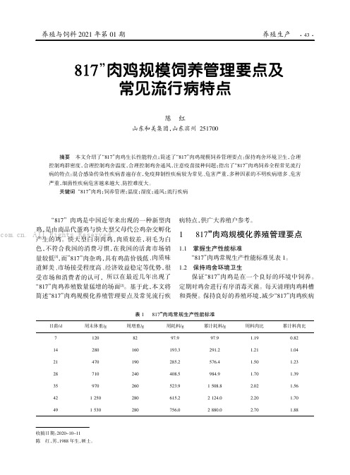 “817”肉鸡规模饲养管理要点及常见流行病特点