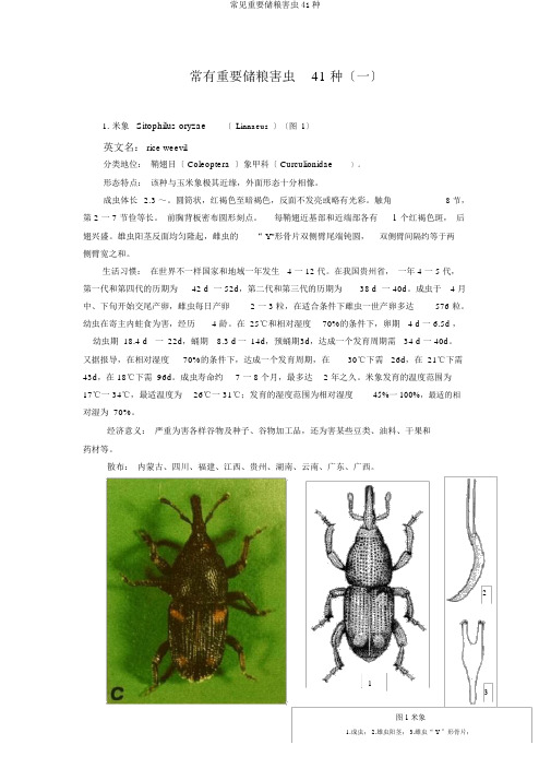 常见重要储粮害虫41种