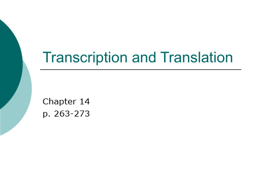 TranscriptionandTranslation解读