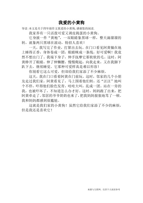 我爱的小黄狗_四年级作文