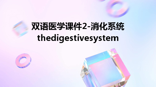 双语医学课件2-消化系统thedigestivesystem