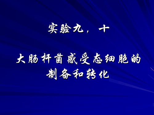 大肠杆菌感受态细胞的制备和转化