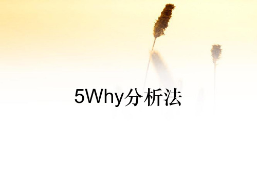 5Why分析法(收藏)