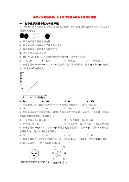 中考化学专项训练：质量守恒定律易错强化练习附答案