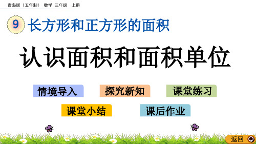 三年级上册数学课件-9.1 认识面积和面积单位青岛版(五年制) (共23张PPT)