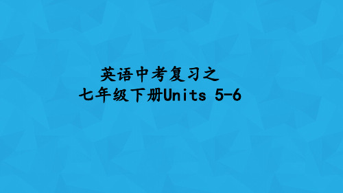 中考复习 七年级下册Units 5-6