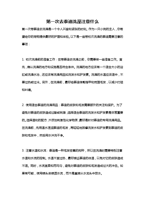 第一次去泰迪洗澡注意什么