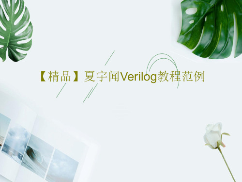 【精品】夏宇闻Verilog教程范例共41页文档
