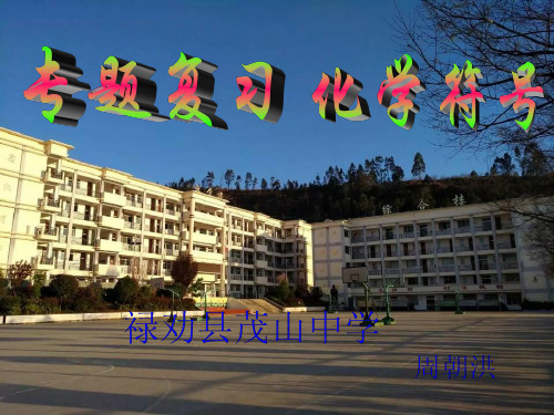 九年级化学专题复习-化学符号