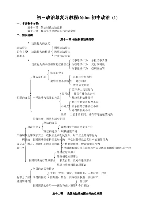 初三政治总复习教程(6)doc初中政治 (1)