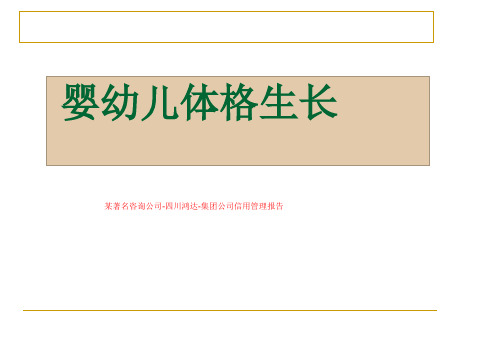 某著名咨询公司-四川鸿达-集团公司信用管理报告