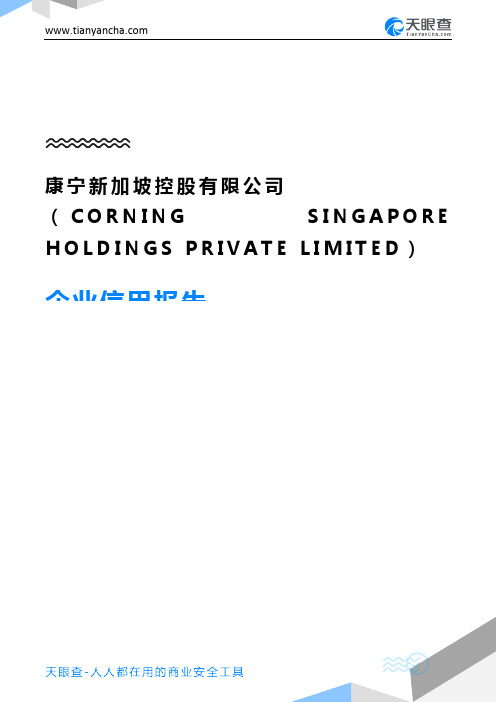 康宁新加坡控股有限公司(CORNING SINGAPORE HOLDINGS PRIVATE LIM