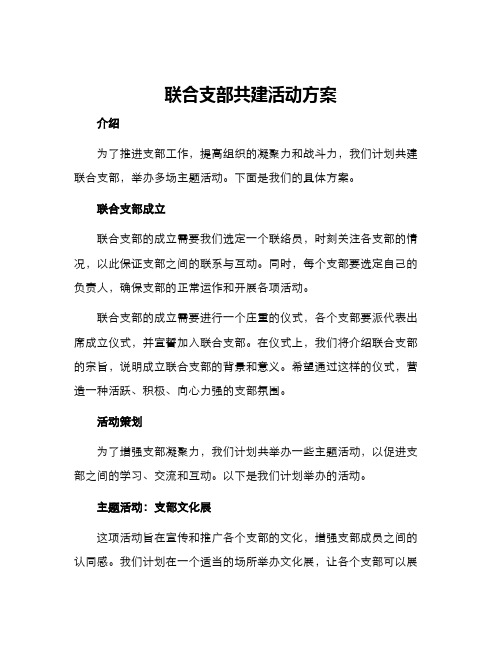 联合支部共建活动方案