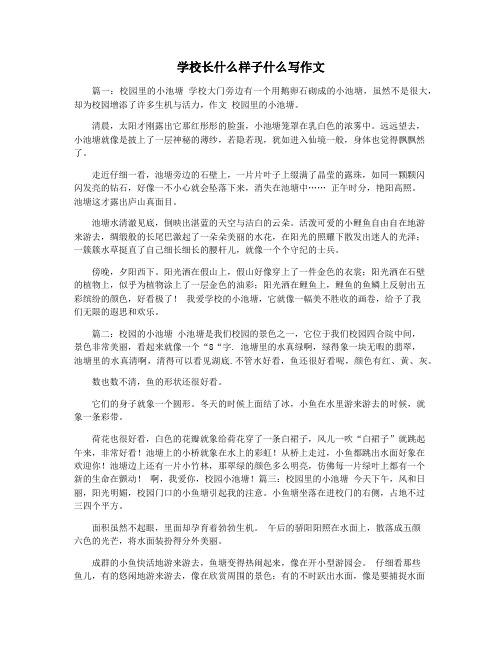 学校长什么样子什么写作文