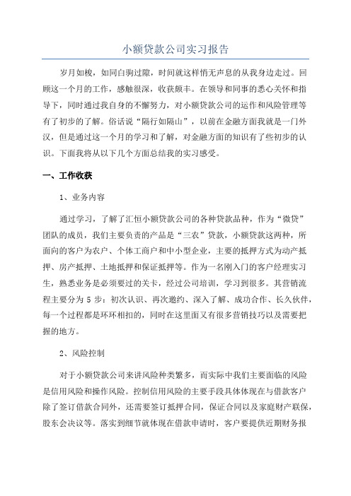 小额贷款公司实习报告