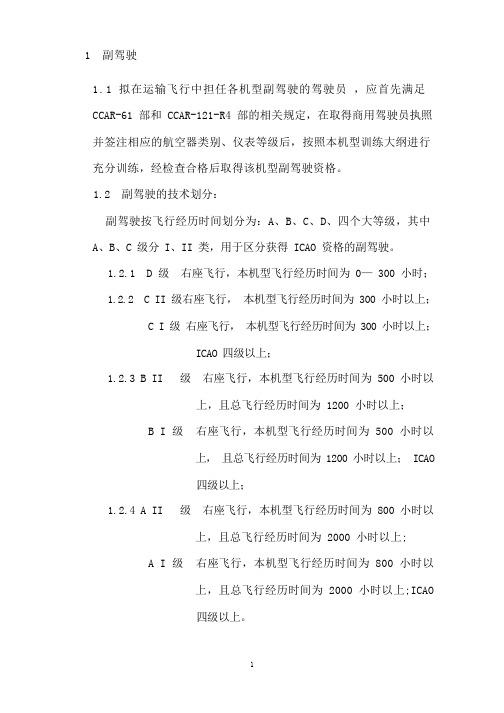 副驾驶分级细则(最新)