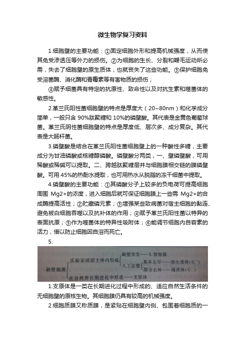 微生物学复习资料