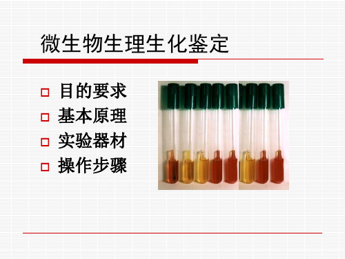 微生物生理生化鉴定