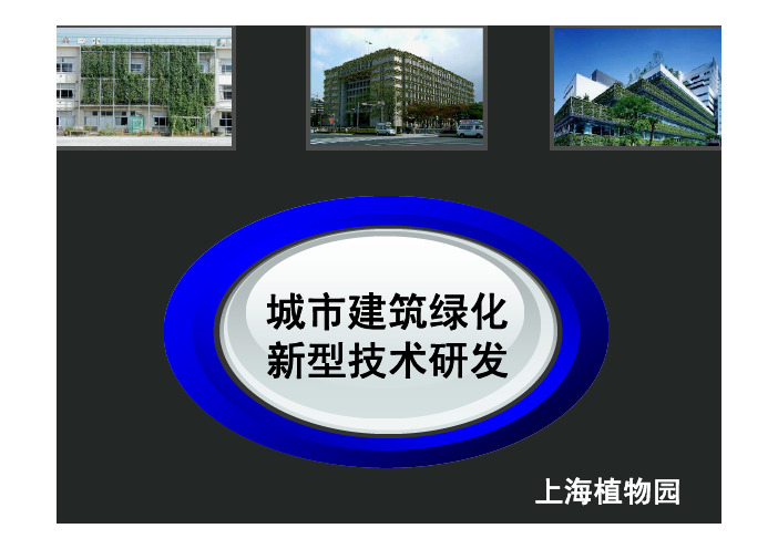 垂直绿化绿化墙壁挂植物种植模块技术介绍
