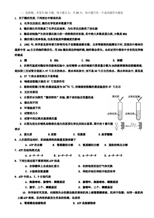 光合作用与呼吸作用题目、答题卡、答案