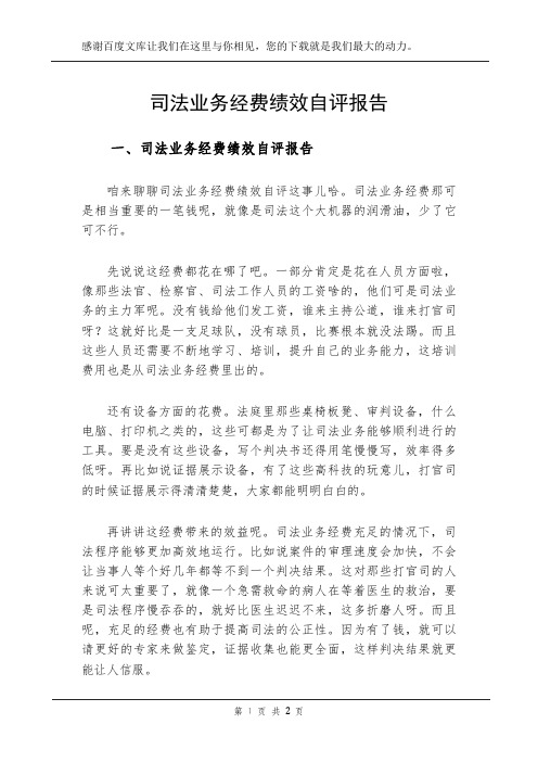 司法业务经费绩效自评报告