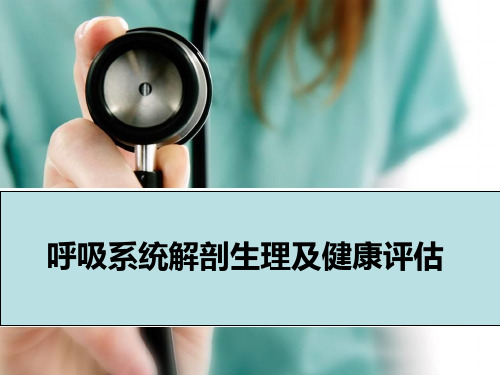 呼吸系统解剖生理及健康评估