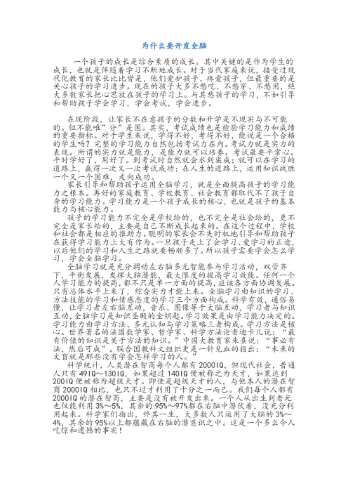 为什么要开发全脑