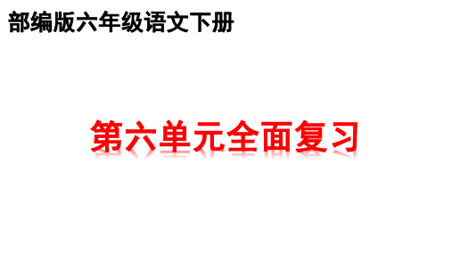 部编版六年级下册语文第六单元复习课件   (共13张PPT)