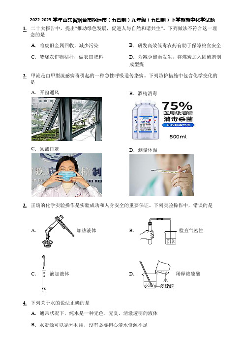 2022-2023学年山东省烟台市招远市(五四制)九年级(五四制)下学期期中化学试题