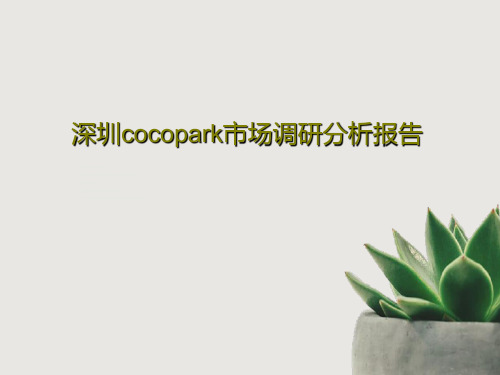 深圳cocopark市场调研分析报告共57页