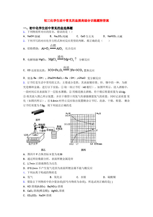 初三化学生活中常见的盐提高综合训练题附答案