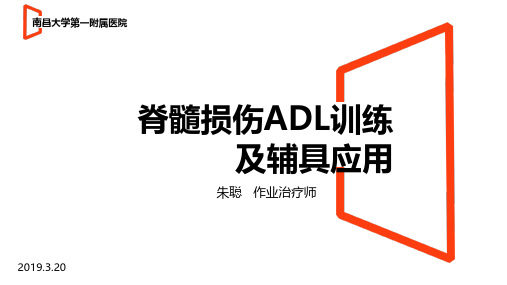 脊髓损伤ADL训练及辅具应用