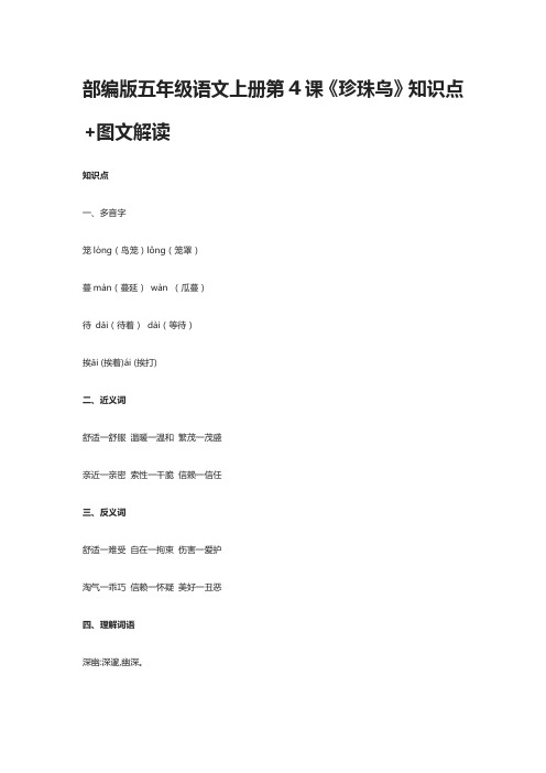 2020部编版五年级语文上册第4课《珍珠鸟》知识点+图文解读