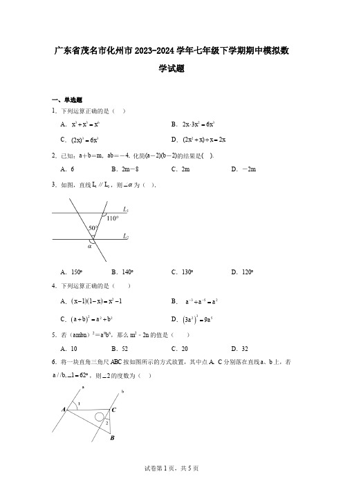 广东省茂名市化州市2023-2024学年七年级下学期期中模拟数学试题