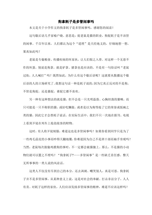 狗拿耗子是多管闲事吗_小学作文