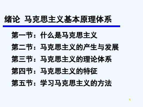 马克思主义基本原理概论各章知识点 PPT