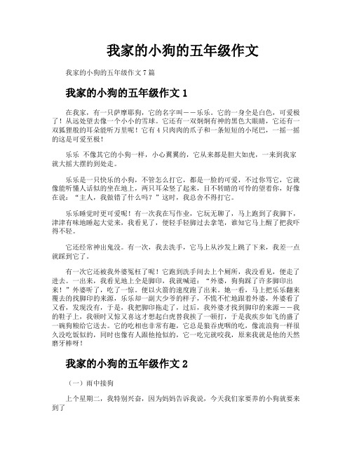 我家的小狗的五年级作文