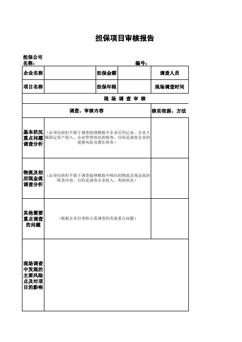 担保项目风险审核报告