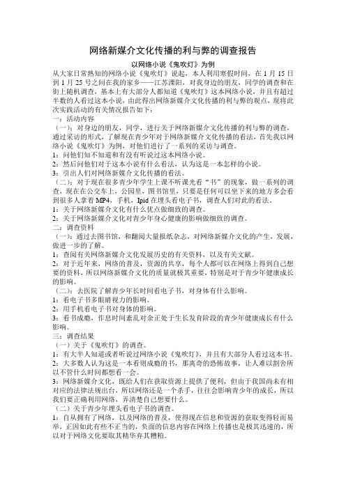 网络新媒介文化传播的利与弊的调查报告