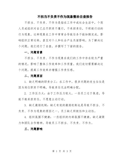 不担当不负责不作为现象整治自查报告